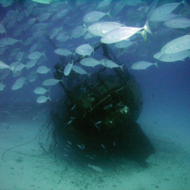 Marine Environmental Surveys